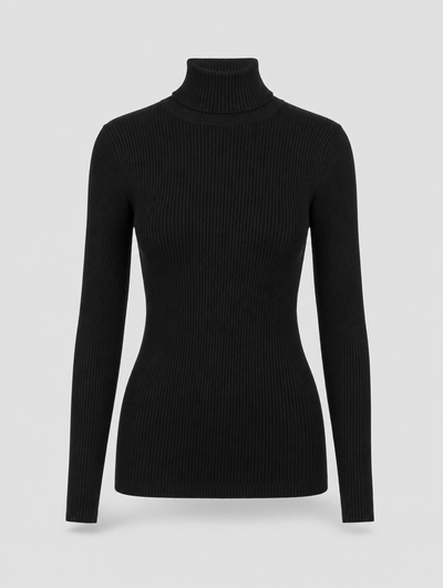 Penrose fine knit turtleneck in black, product shot
