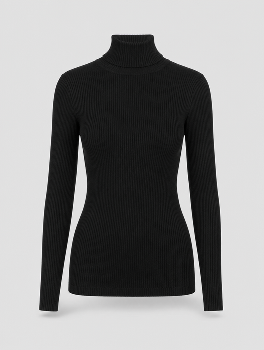 Penrose fine knit turtleneck in black, product shot